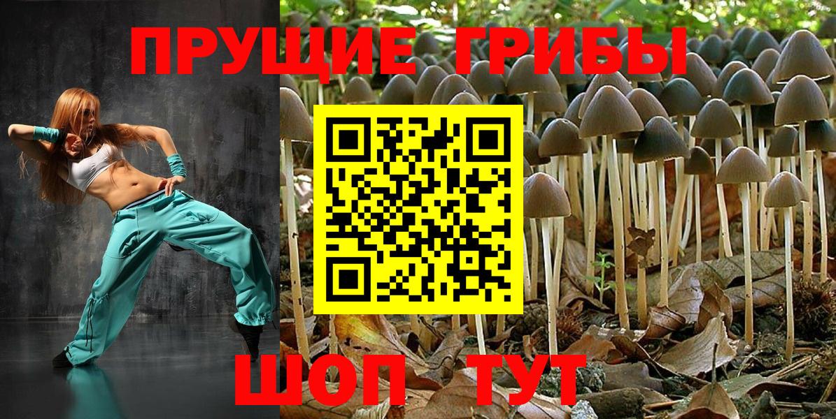 Галлюциногенные грибы ЛСД  Галлюциногенные грибы мухоморы  Нефтекумск  Вход с VPN 